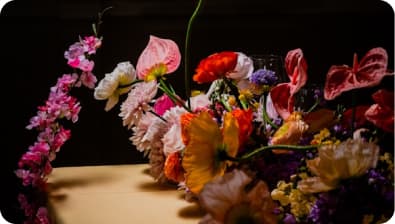 Floral installation at night