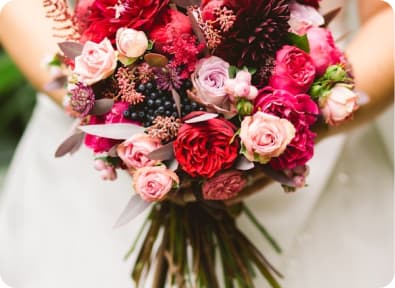 Bouquet of garden roses