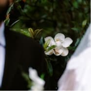 Wedding photo